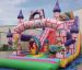 Fantasia Affordable Inflatable Water Slides