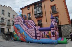 Fantasia Inflatable Castle Slide