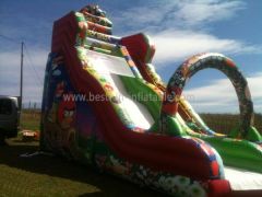 Outdoor Rental PVC Inflatable Slide