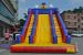 Big Inflatable Clown Slide