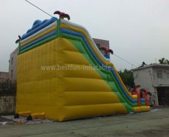 Big Inflatable Dual Slides