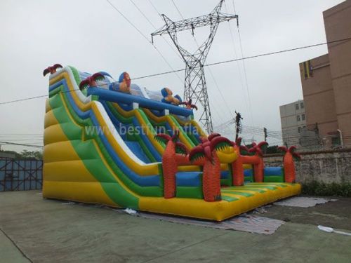 Big Inflatable Dual Slides