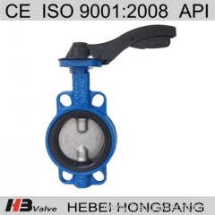 Valve butterfly valve hangle valve DN100 check valve