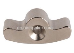 Irrigular permanent Neodymium magnet