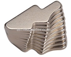 Odd shape Neodymium Magnet