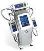 10.4 Inch Screen Professional Cryolipolysis Slimming Machine For Fat Reduction / Fat Loss