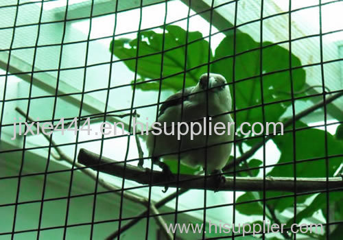 Light welded wire mesh ideal housing for small animals