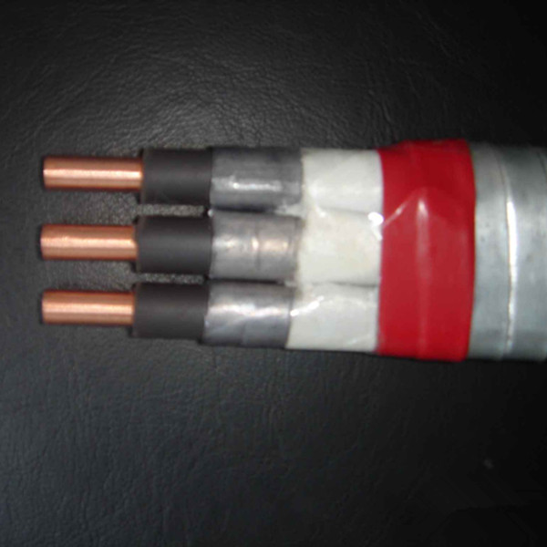 450/750 high quality ofChinese TPS cable