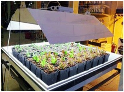 150W-500W Electrodeless induction grow light