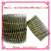 wooden pallet coil nail