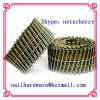 Suitable wooden pallet COIL NAIL