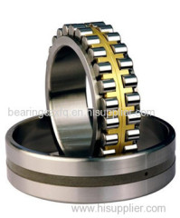 Cylindrical Roller Bearing (NU. NJ 22 series-single row)