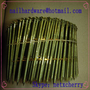 steel nail/wire nail/coil nail