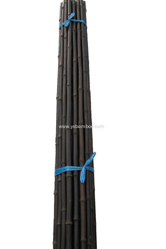 dry black bamboo stakes