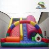 Giant Dual Inflatable Tunnel Slide