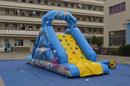 Single Lane Sea World Inflatable Slide