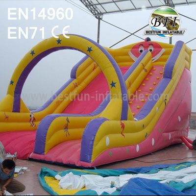 2014 Hot Sales Inflatable Slide