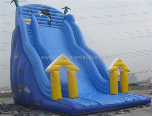 Giant Adult Inflatable Outdoor Slide