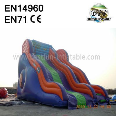 Backyard Cheap Inflatable Water Slides