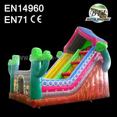 Backyard Inflatable House Slide