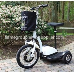 Electric Tricycle Scooter 064c