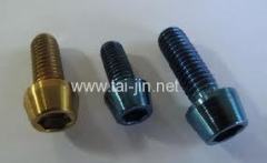 High Quality Gr2 titanium fastener bolt /rod