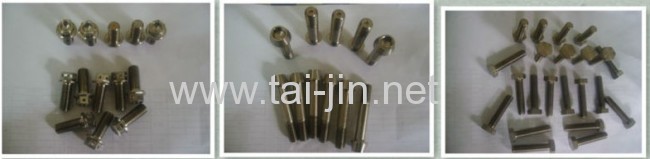 titanium Ti fastener for bike bicycle motor car 