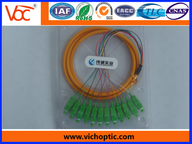 12 core branch SC/APC fiber optic pigtail
