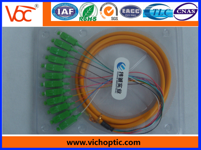 12 core branch SC/APC fiber optic pigtail