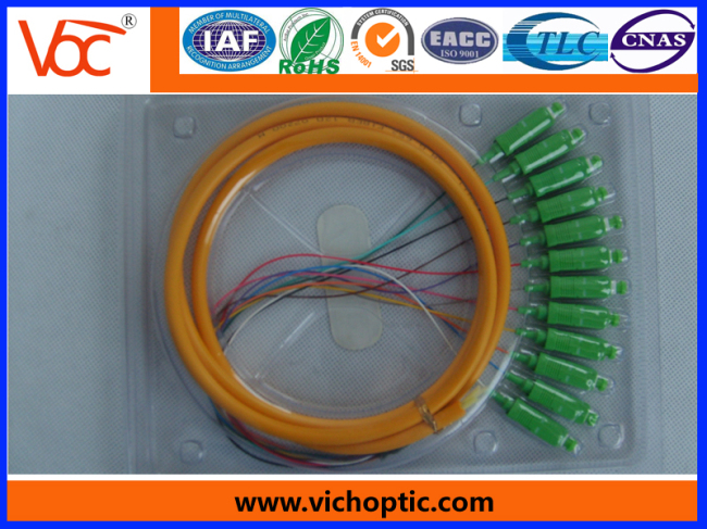 12 core branch SC/APC fiber optic pigtail