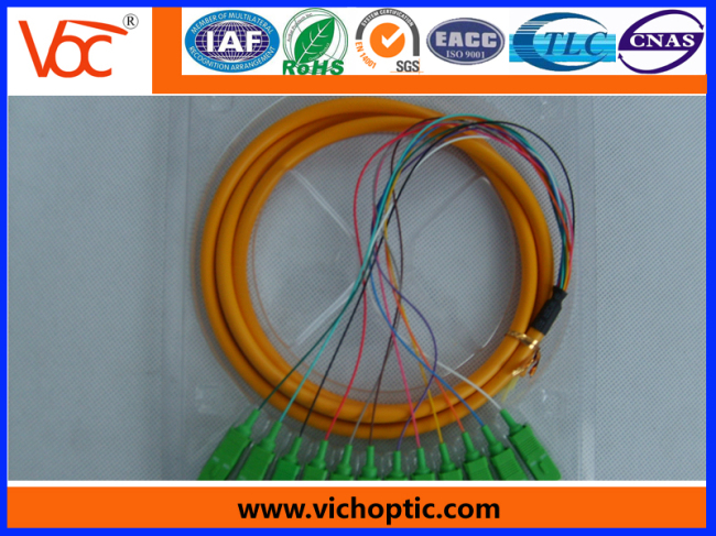12 core branch SC/APC fiber optic pigtail