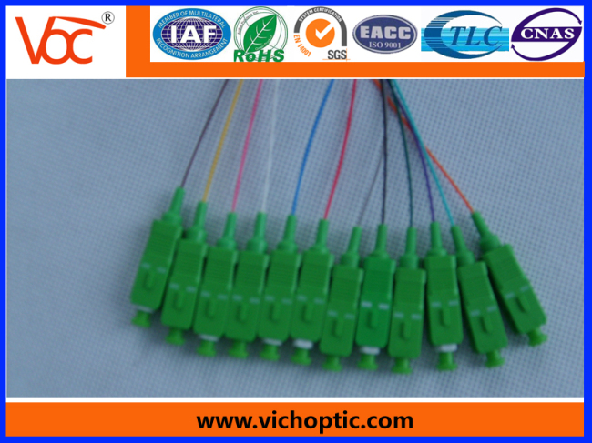 12 core branch SC/APC fiber optic pigtail