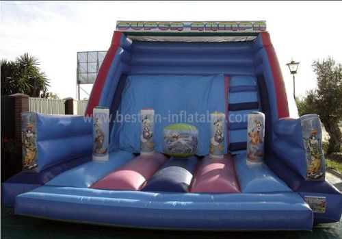 Exciting Theme Park Slide Inflatable