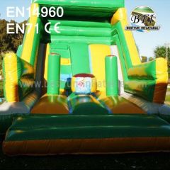 Custom Made Inflatable Slide Jumper