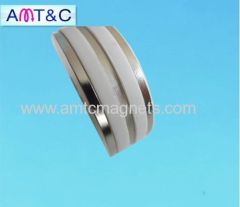 Neodymium Ring magnet (NdFeb)