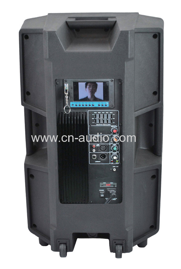 Pro battery powered speaker 15CSD15AUQ-MP5