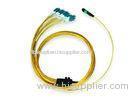 MTP / MPO Hybrid Harness Fiber Optic Patch Cord, Factory Pr-terminated