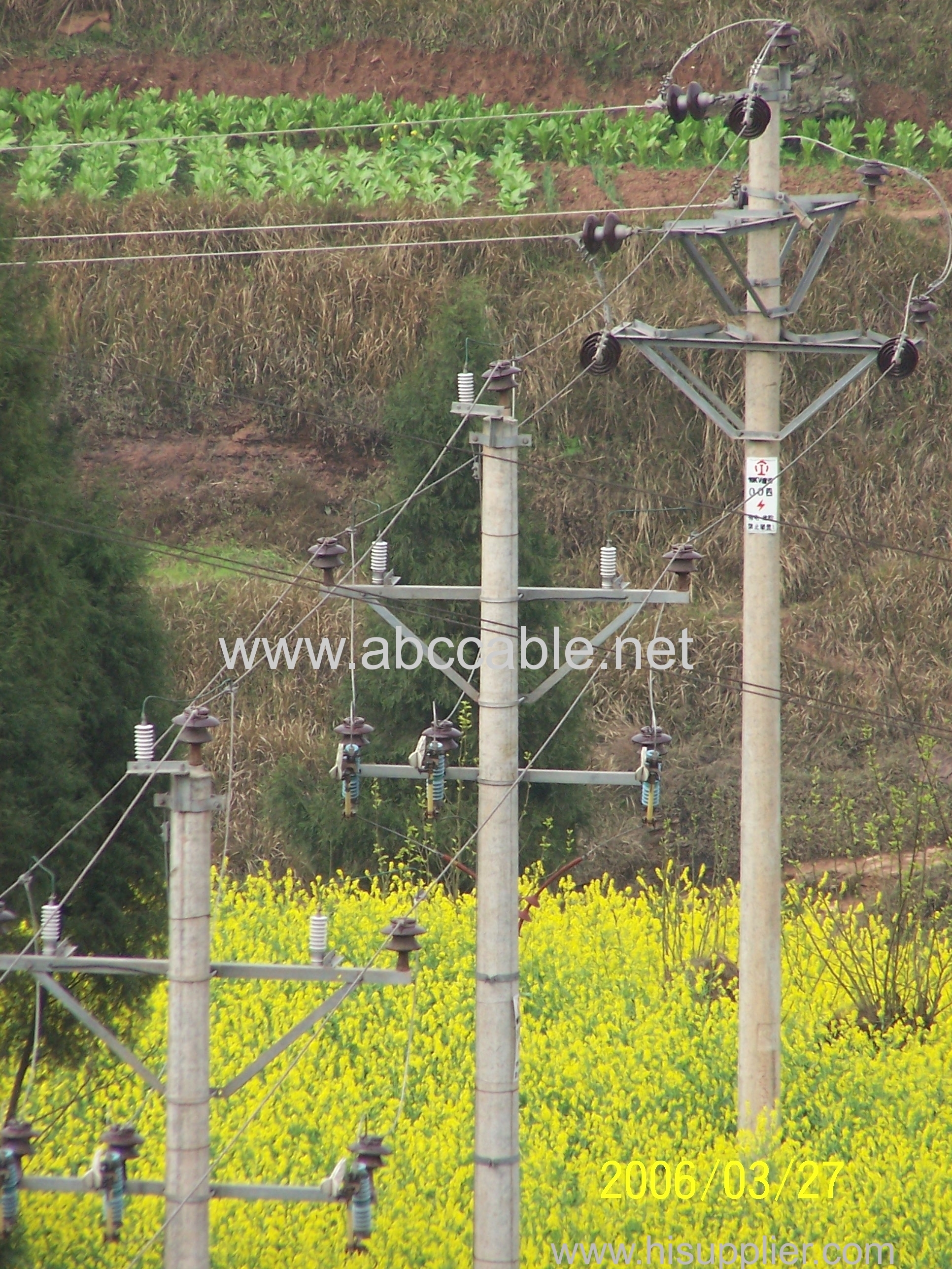 Don't touch trees in wires