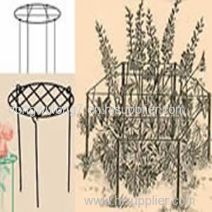 Grow through plant supports super perfect for heavy head flower