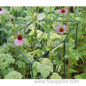 Flower Links plant supports for flower, shrubs and vegetables