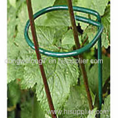 Single ring and stem plant supports for sunflower and daisy