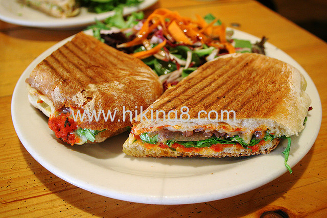 sandwich maker with stainless steel ,griller , toaster maker