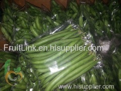Fresh Green Beans From Egypt