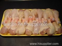 Frozen Halal and Non Halal Chicken Drumstick