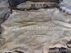 Wet Salted Cow Hides and Other Skins,