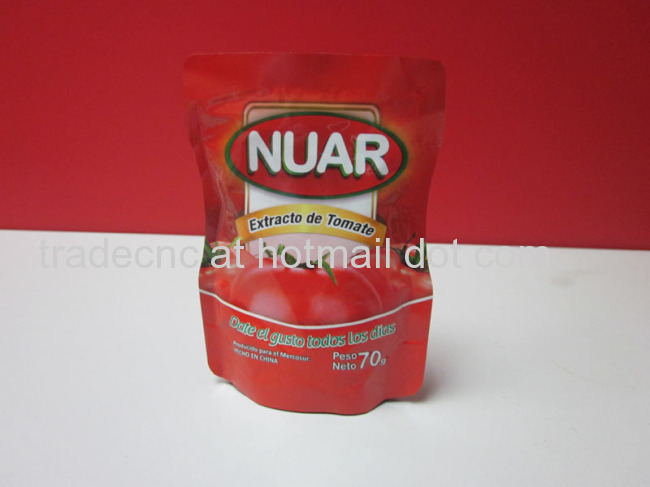 70g Tomato Paste in Pouch