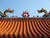 roof tiles for classical garden pavilion or temple