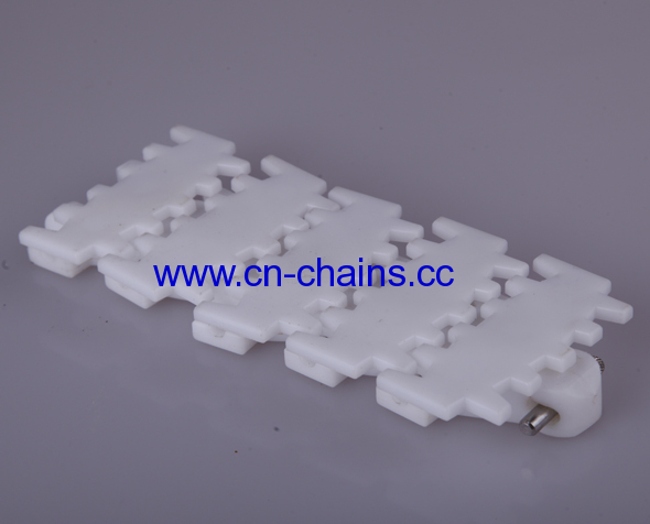 Conveyor system pain chain(RW7100K)