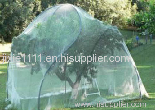 Fruit cage netting comes in knotless and extruded poly netting