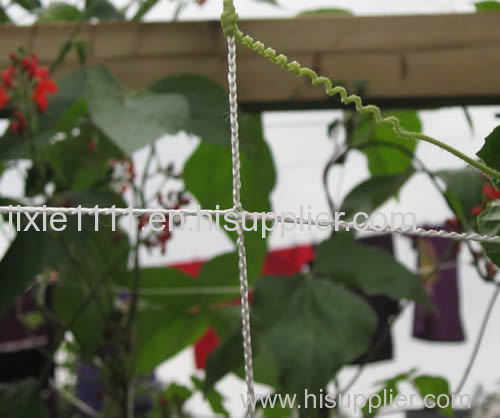 Trellis netting helps increase yields by optimizing space